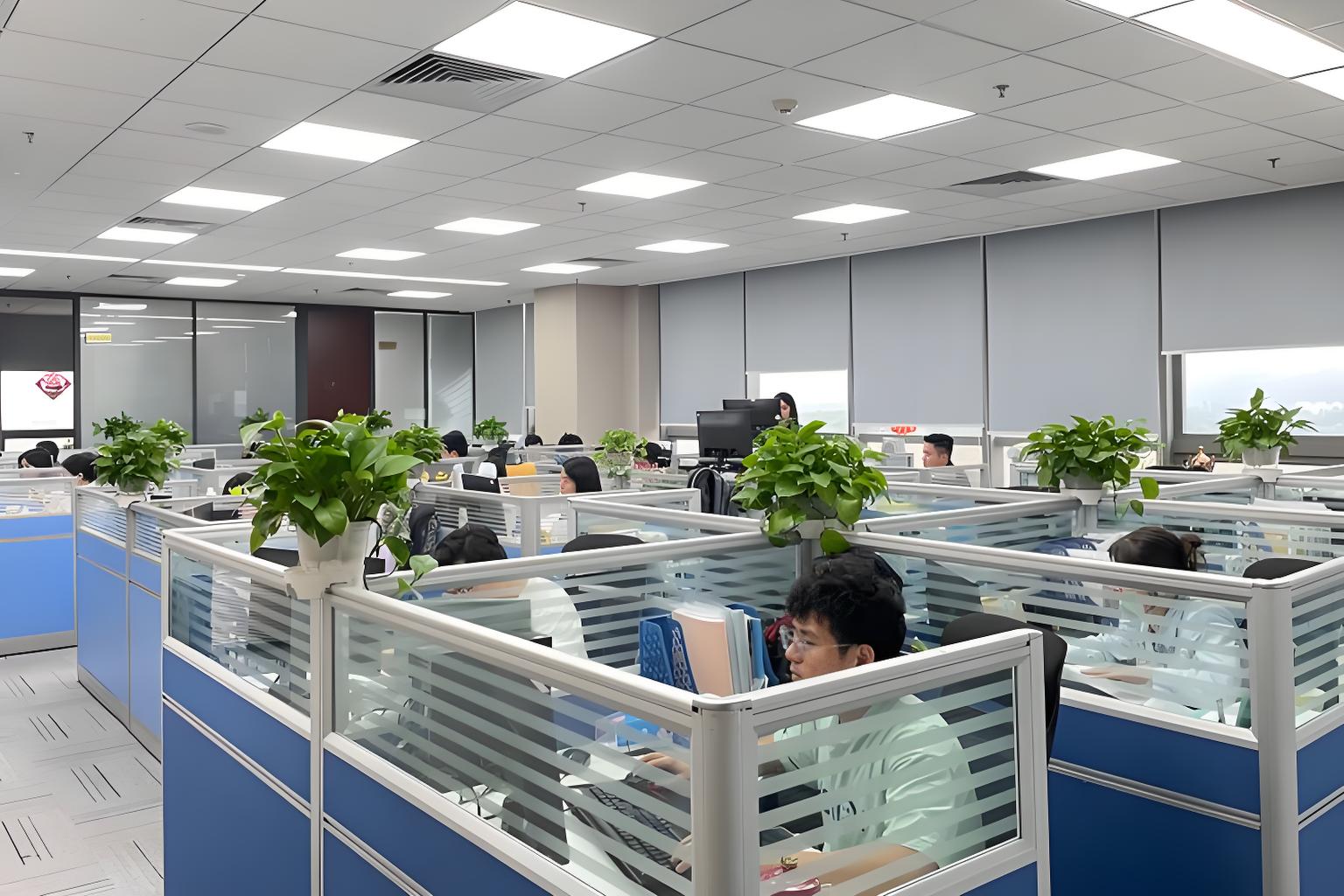 Company Profile