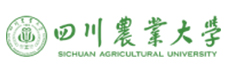 合作案例5