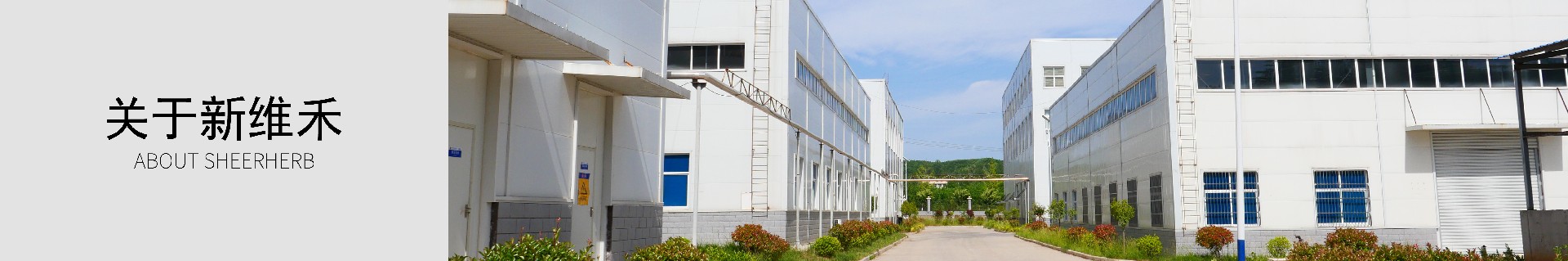 公司简介