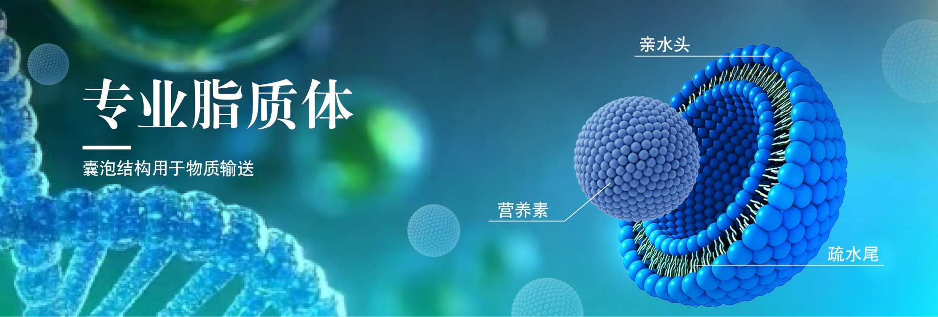 新维禾资讯