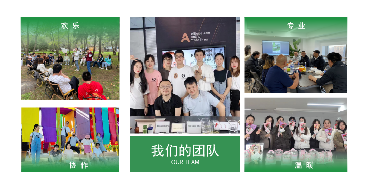 我们的团队.png