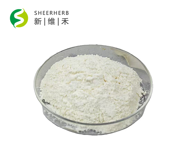 脂质体谷胱甘肽
