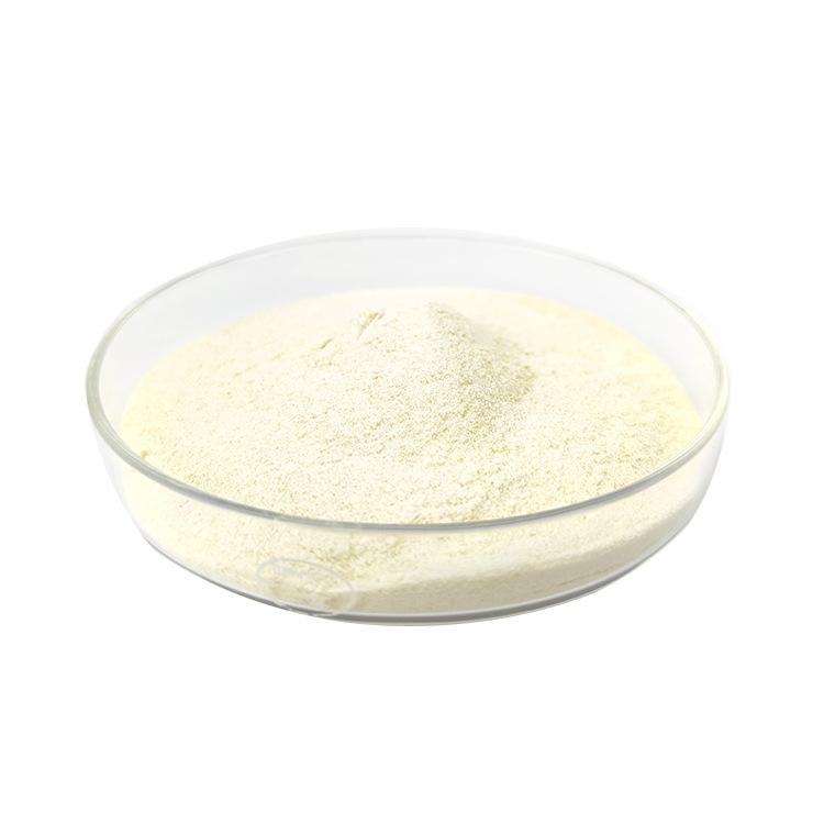 脂质体甘油磷酸胆碱