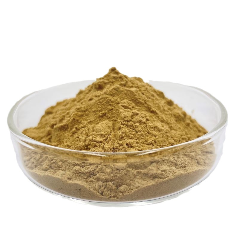 脂质体玛卡酰胺